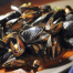 Mussels & Thai Red Curry Sauce